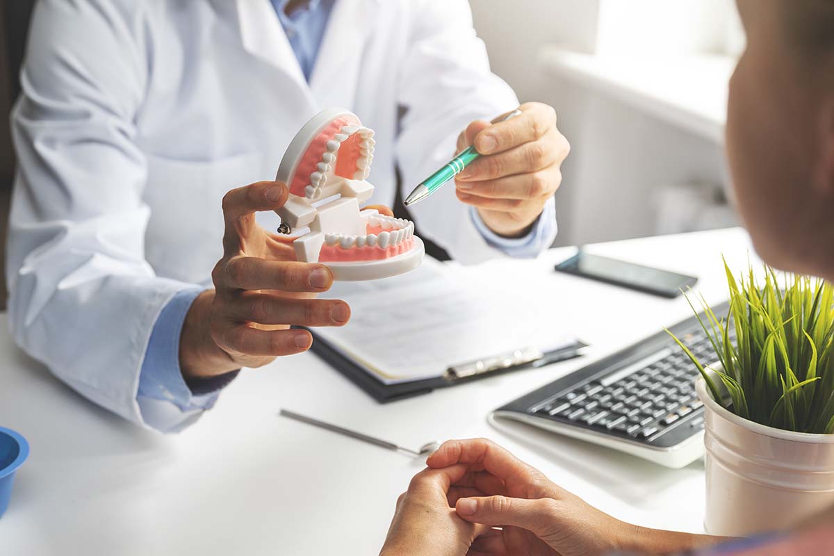 Causes of Receding Gums a dentist shows a model of receding gums